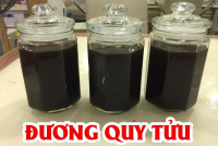 Thuốc bổ Khí-Huyết Đương Quy Tửu (Tankwe-Gin)