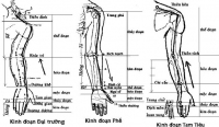 Vuốt vòng chân khí 6 đường kinh tay